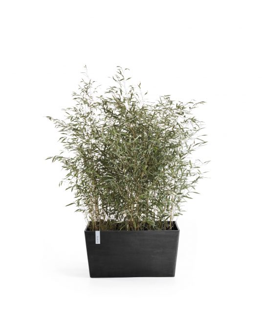 עציץ פריז של Ecopots, דגם Paris, החל מ־708 שקלים