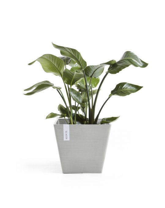 עציץ רוטרדם של Ecopots, דגם Rotterdam, החל מ־204 שקלים