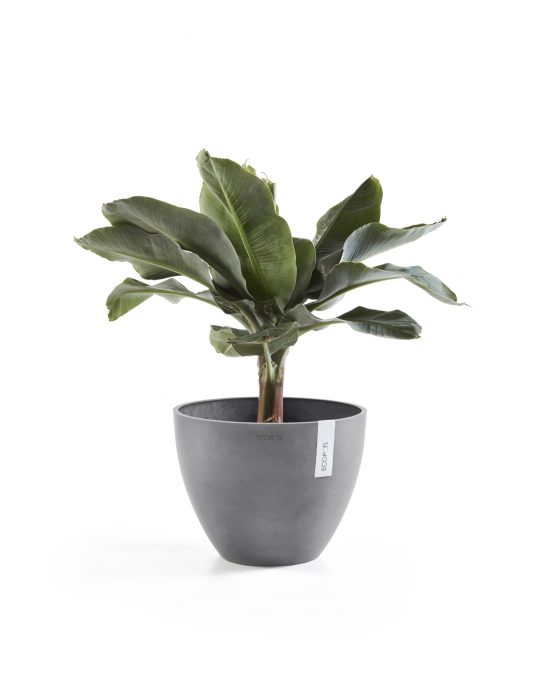 עציץ אנטוורפן של Ecopots, דגם Antwerp, קטגוריה: לרצפה, מתאים לפנים וחוץ