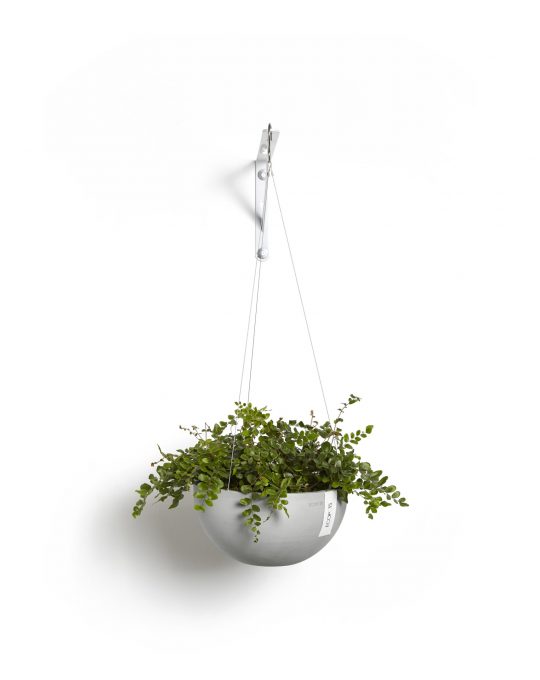 עציץ בריסל לתלייה של Ecopots, דגם Hanging Brussels, קטגוריה: לתלייה, מתאים לתלייה