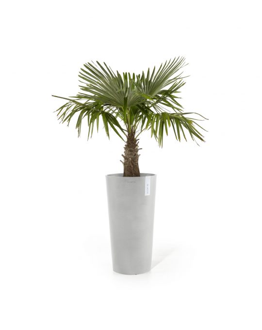 עציץ אמסטרדם גבוה של Ecopots, דגם Amsterdam High, החל מ־387 שקלים