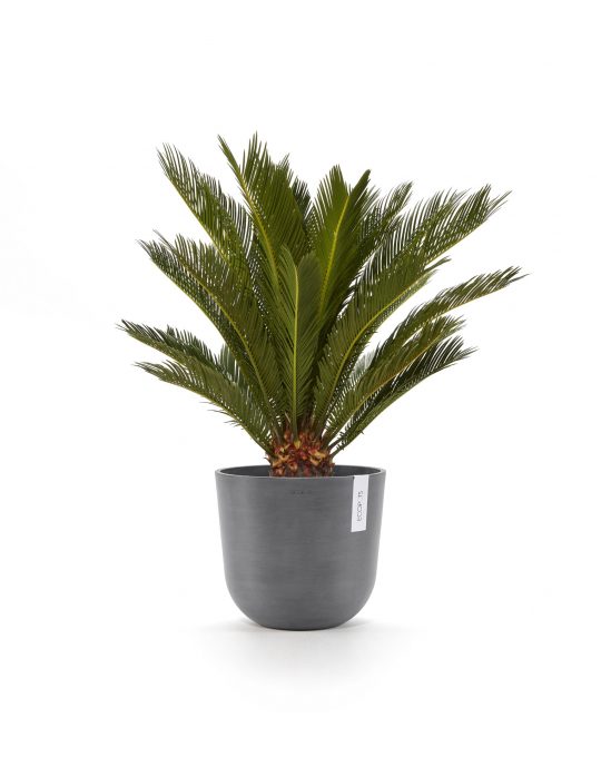 עציץ אוסלו של Ecopots, דגם Oslo, החל מ־147 שקלים