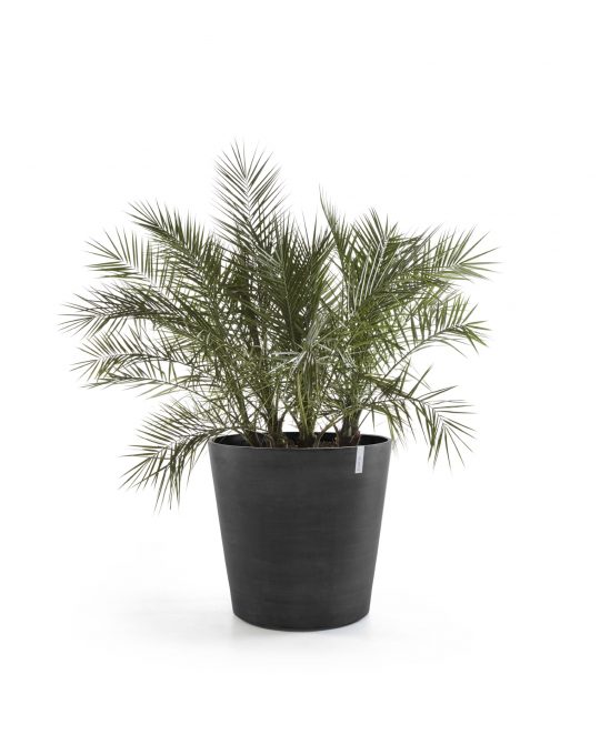 עציץ אמסטרדם עם גלגלים של Ecopots, דגם Amsterdam Wheels, קטגוריה: עם גלגלים, מתאים לפנים וחוץ