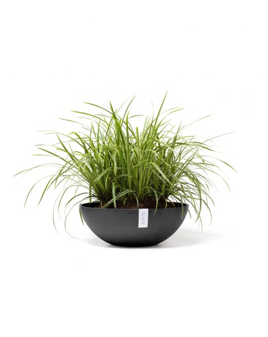 עציץ וינה של Ecopots, דגם Vienna, קטגוריה: לרצפה, מתאים לפנים וחוץ